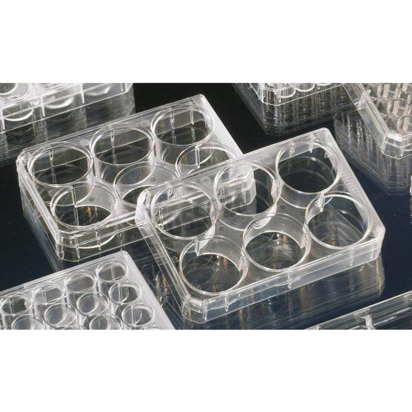 PLACAS MICROTITER 6 POCILLOS ESTERIL CON TAPA Caja 75 Undes. "NUNC