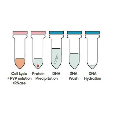 DANAGENE PLANT DNA KIT 200 PREP. "BIOTED