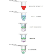 DANAGENE SPIN BLOOD DNA KIT 250 EXTRAC. "BIOTED