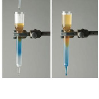 PRINCIPIOS DE CROMATOGRAFIA POR FILTRACION EN GEL 10 GRUPOS "BIOTED