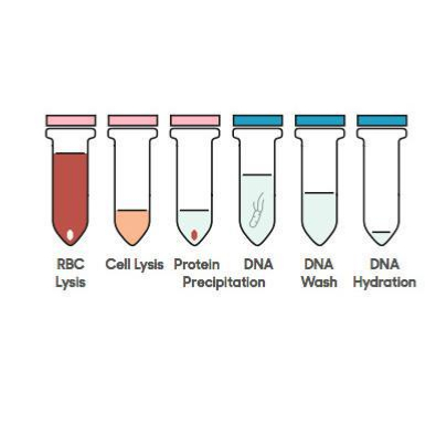 DANAGENE BLOOD DNA KIT 100 ML. "BIOTED